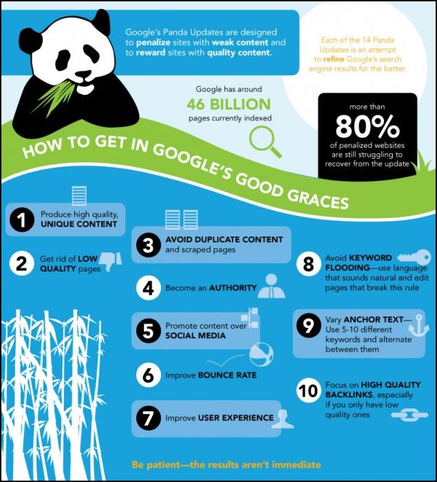 Google Panda infografía